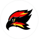 Columbus Skyhawks logo